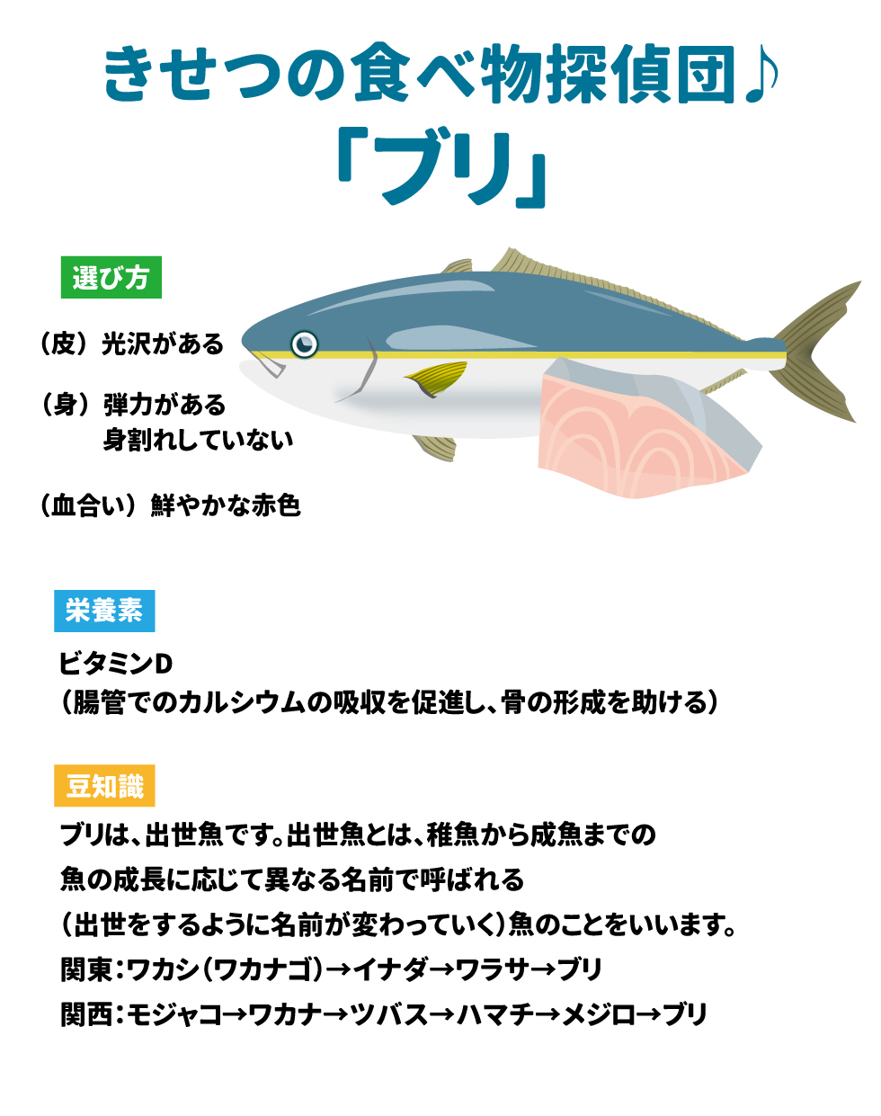 🐟 きせつの食べ物探偵団♪ 27 ブリ 28 項目 詳細 選び方 29 * (皮) 光沢がある 30 * (身) 弾力がある 31 * 身割れしていない 32 * (血合い) 鮮やかな赤色 33 栄養素 34 ビタミン D 35(腸管でのカルシウムの吸収を促進し、骨の形成を助ける) 36 豆知識 37 ブリは、出世魚です 38。出世魚とは、稚魚から成魚までの魚の成長に応じて異なる名前で呼ばれる(出世をするように名前が変わっていく)魚のことをいいます 39。 呼び名 * 関東: ワカシ(ワカナゴ)→ イナダ → ワラサ → ブリ 40 * 関西: モジャコ → ワカナ → ツバス → ハマチ → メジロ → ブリ 41