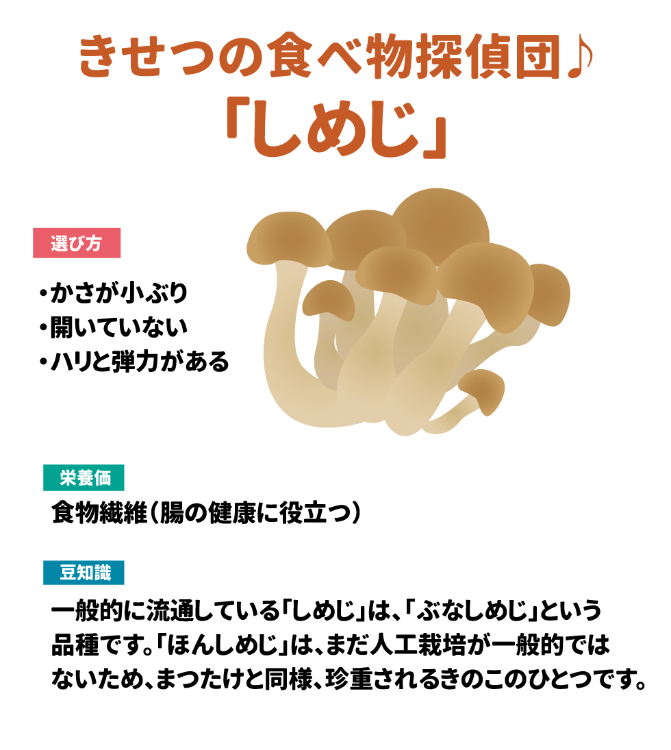 ■季節の食べ物探偵団♪「しめじ」 選び方 ・かさが小ぶり ・開いていない ・ハリと弾力がある 栄養価 食物繊維(腸の健康に役立つ) 豆知識 一般的に流通している「しめじ」は「ぶなしめじ」という品種です。「ほんしめじ」は、まだ人工栽培が一般的ではないため、まつたけと同様、珍重されるきのこのひとつです。